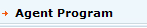 Agent Program